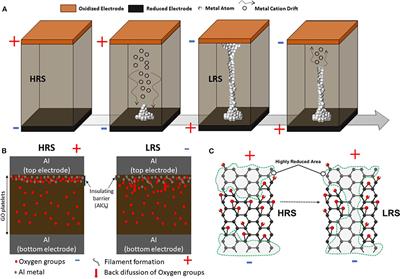 Resistive Switching in Graphene Oxide